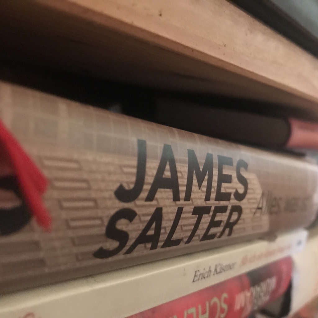 james-salter-alles-was-ist